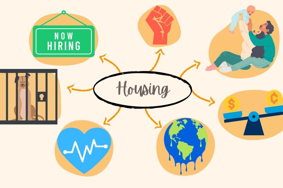Is the New Zealand Government Doing Enough to Tackle the Housing Crisis?