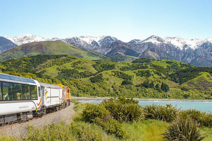 How to Build the Future of Public Transportation in Cities – How to Get Ahead Faster in NZ