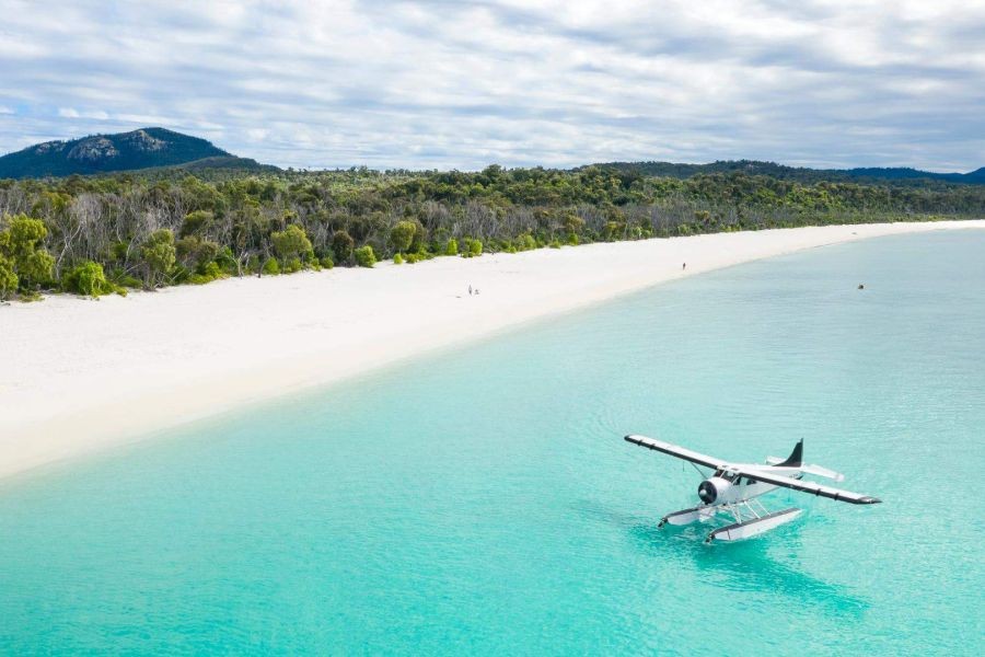 The Hidden Dangers of Swimming at Australia’s Most Popular Beaches – The Real Reason It’s Exploding in Australia