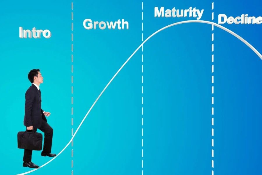 Understanding Market Cycles: When to Buy and Sell – (And Why Kiwis Are Finally Taking Notice)