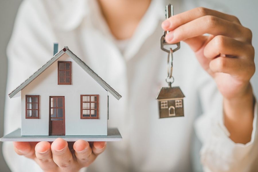 Surprising Stats on New Zealand’s Rental Market