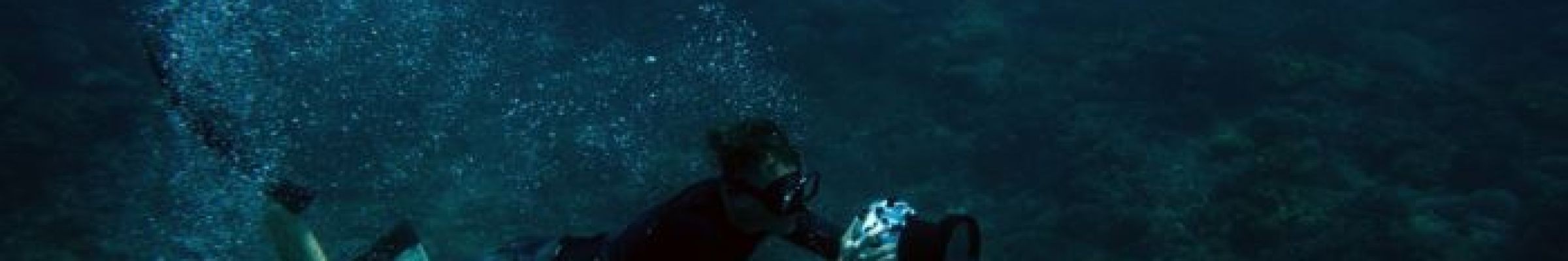 Petro Divers