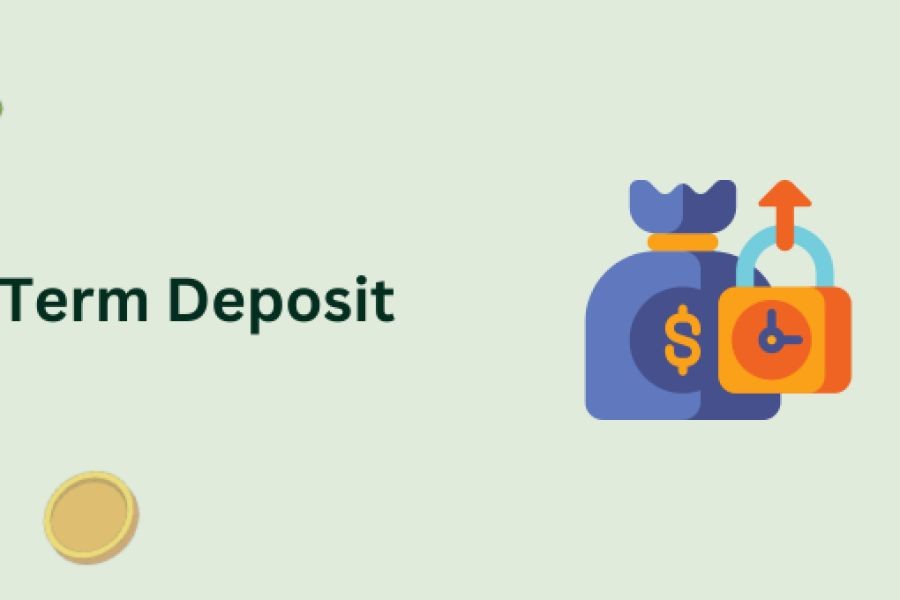 Why More Kiwis Are Choosing Term Deposits Over Stocks – Expert Insights Every New Zealander Needs