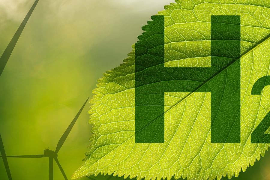 New Zealand's green hydrogen initiatives and their impact on sustainable energy – Expert Insights Every New Zealander Needs