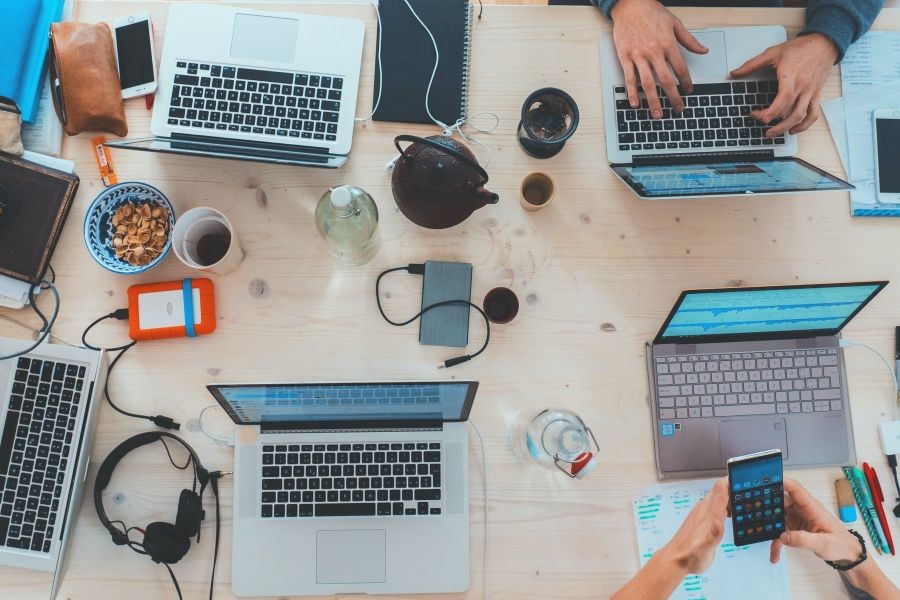 Why Many Startups Fail to Succeed in New Zealand’s Competitive Tech Market – The Hidden Truth Every New Zealander Should Know
