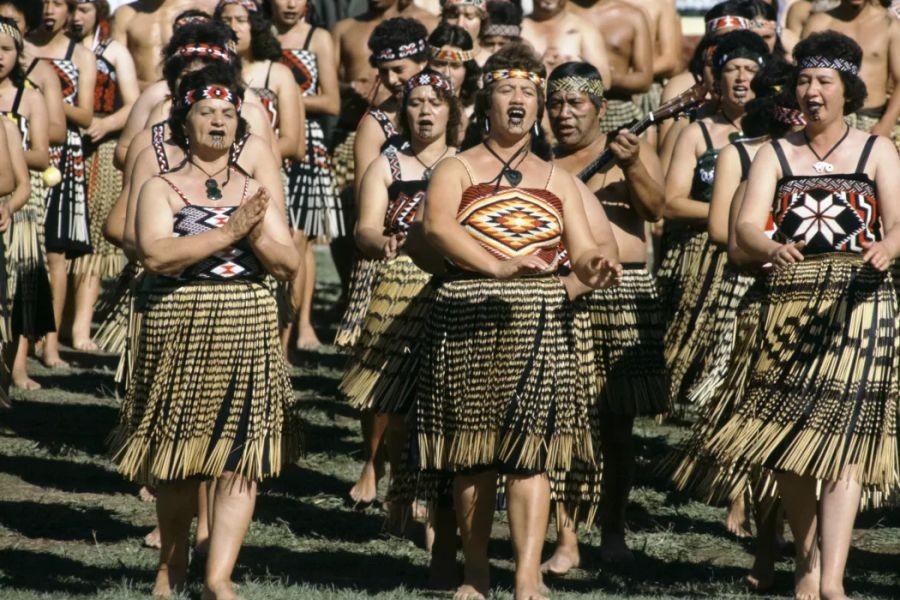 What Role Should the Maori Play in Shaping New Zealand’s Future?