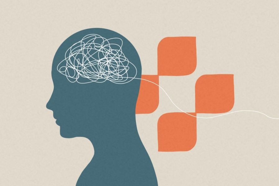 How New Zealand’s Mental Health System Supports Vulnerable Groups: A Case Study – The Hidden Truth Every New Zealander Should Know