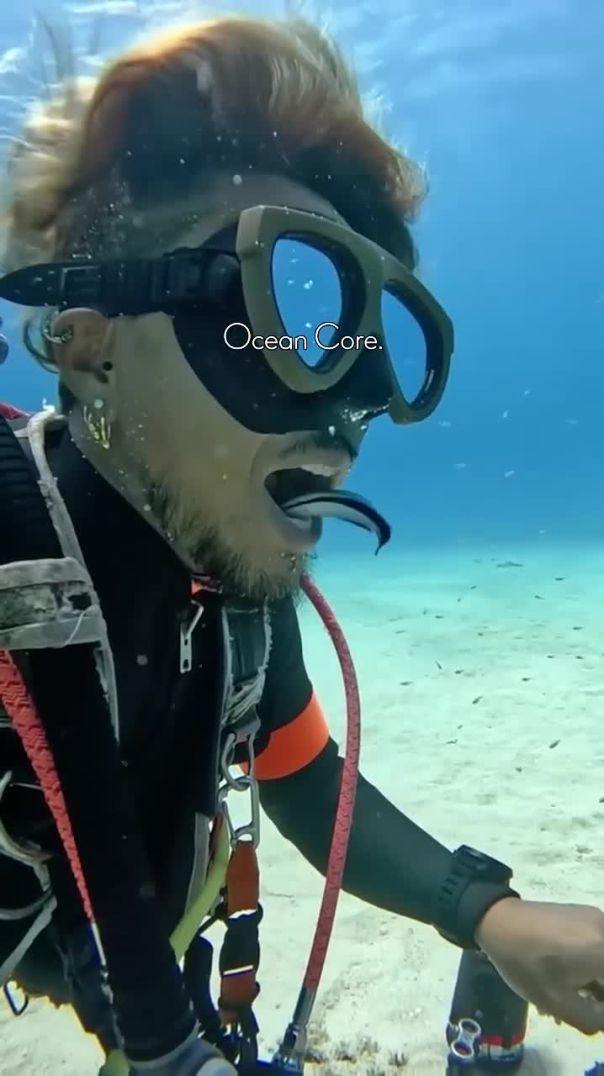 Ocean Core Vibes: Dive into the Beauty of the Great Barrier Reef 🌊