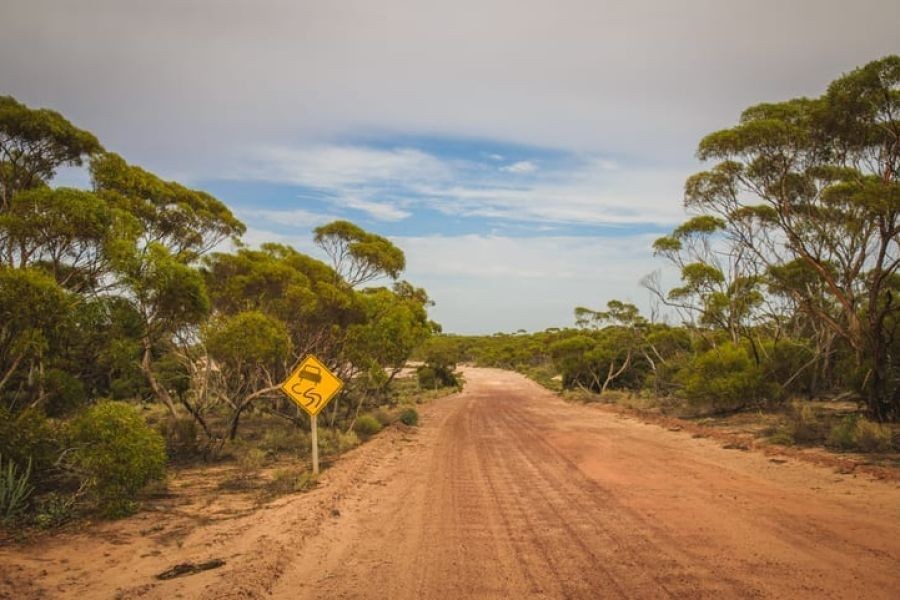 How to Stay Safe While Driving on New Zealand’s Rural Roads