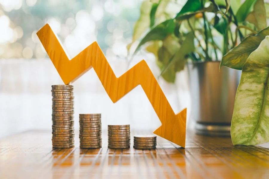 Why New Zealand’s Economic Growth Needs to Be More Sustainable