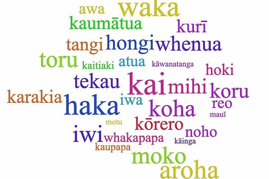 Māori language revival initiatives – The Proven Path to Growth in NZ