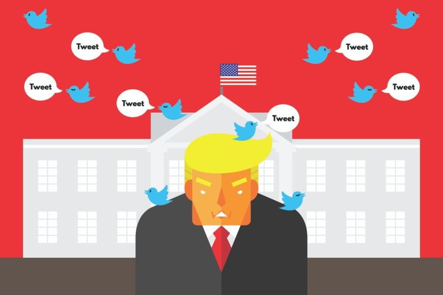 New Zealand vs. Europe: How Social Media Influences Politics Differently