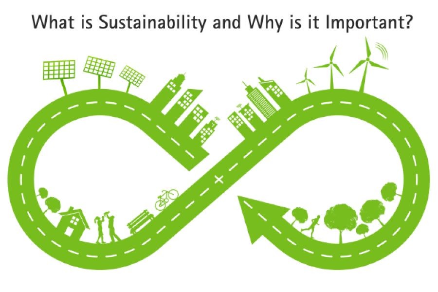 Over 50% of New Zealand’s Trade Agreements Include Sustainability Clauses