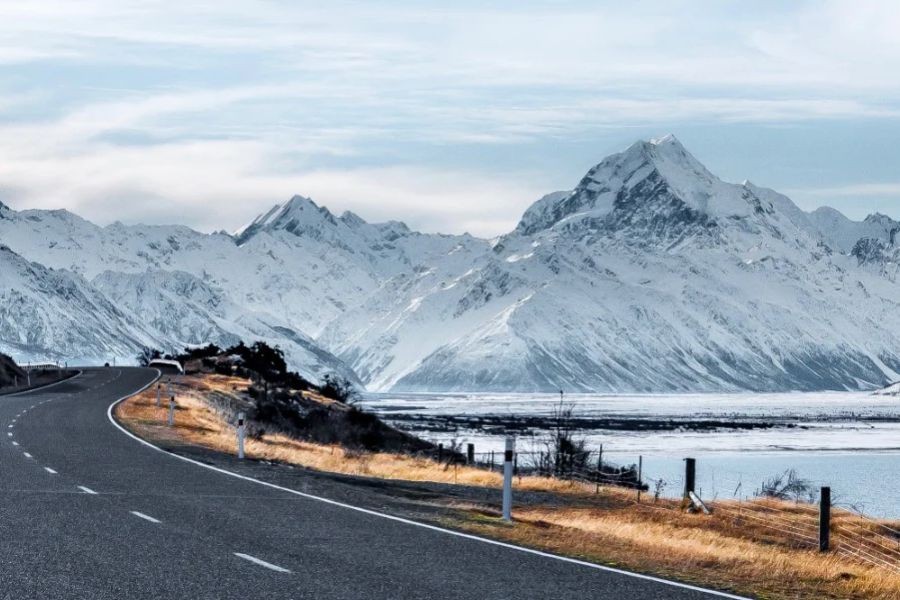 The Future of New Zealand’s Roads: Will We See Autonomous Vehicles?