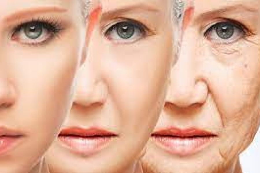 How Peptide Therapy is Changing the Future of Anti-Aging – Why Ignoring It Could Be a Costly Mistake