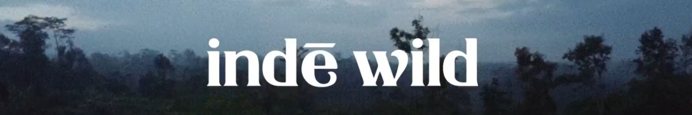 Inde Wild