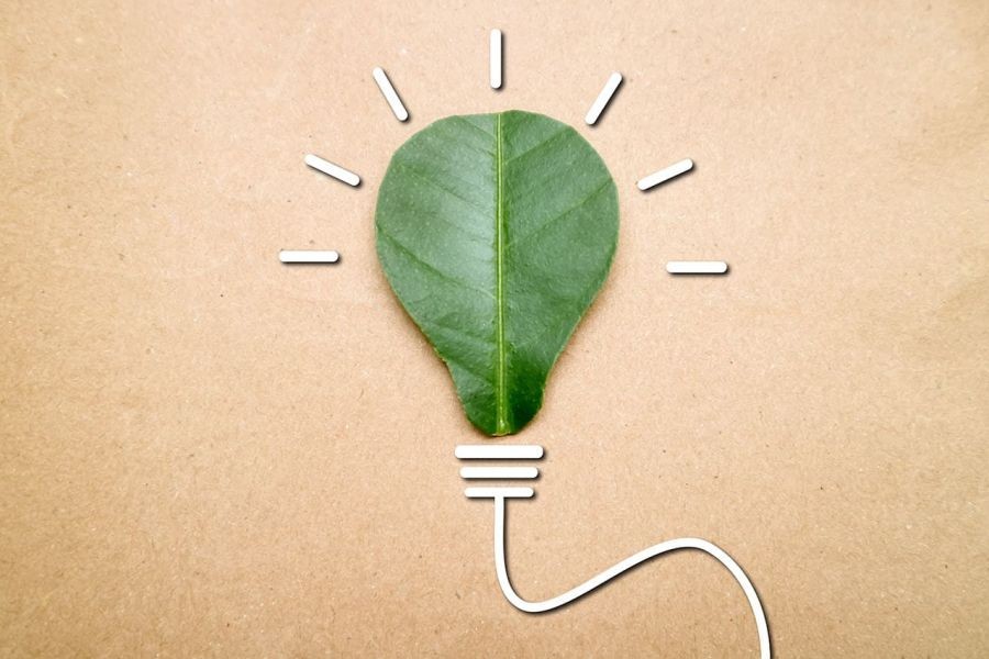 How Many Startups Actually Succeed in Australia? The Answer May Shock You