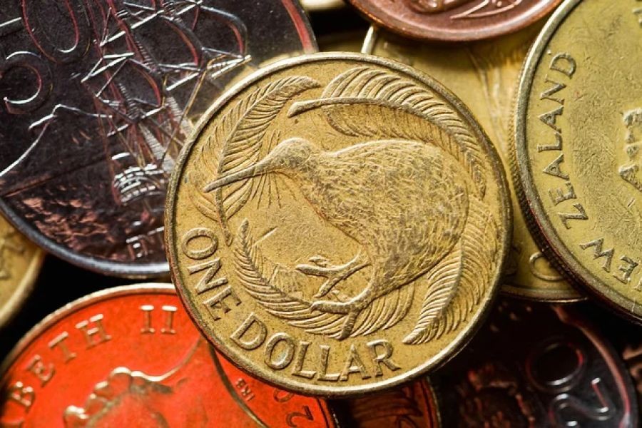 Why New Zealand Should Strengthen Its Currency to Stay Competitive
