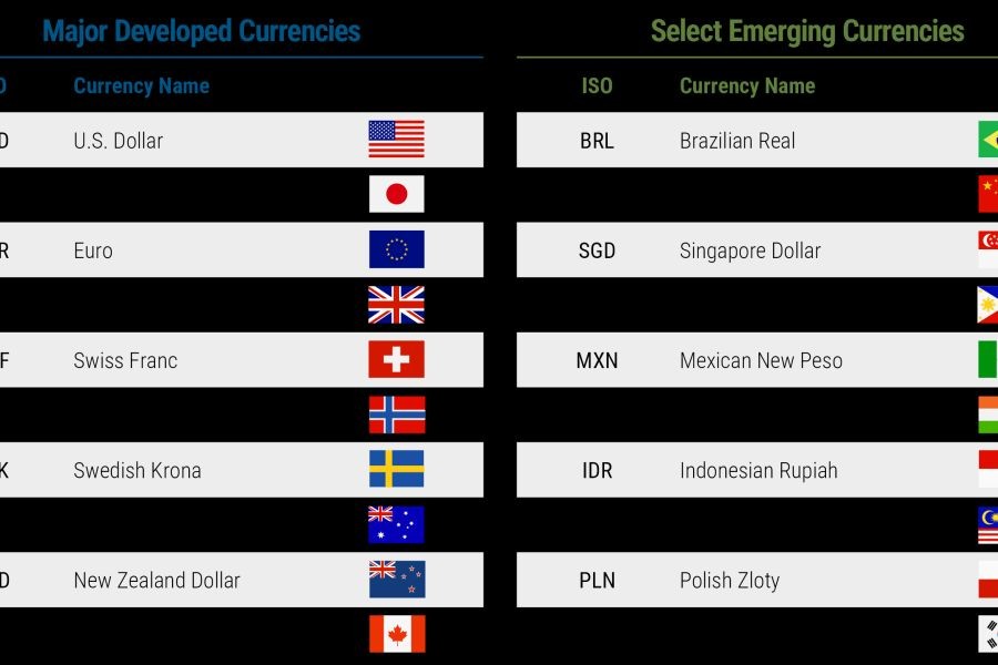 How New Zealand’s Currency Stabilization Efforts Have Affected International Trade: A Case Study