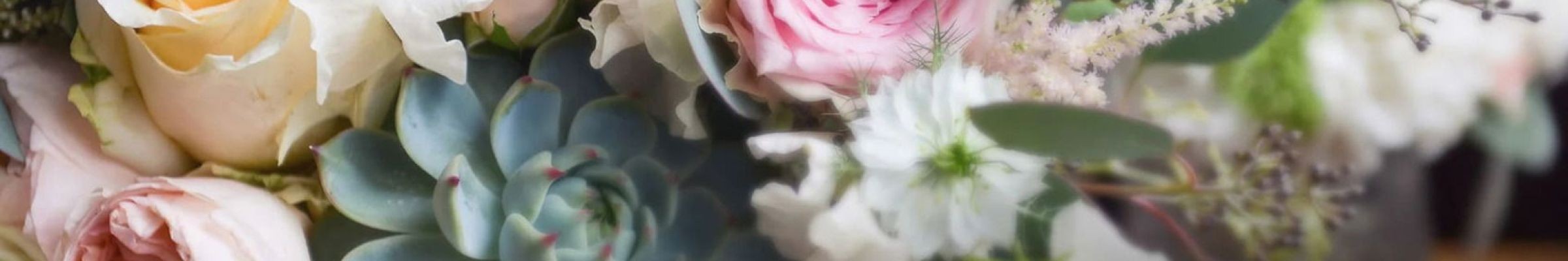 My Florist & Flower Delivery