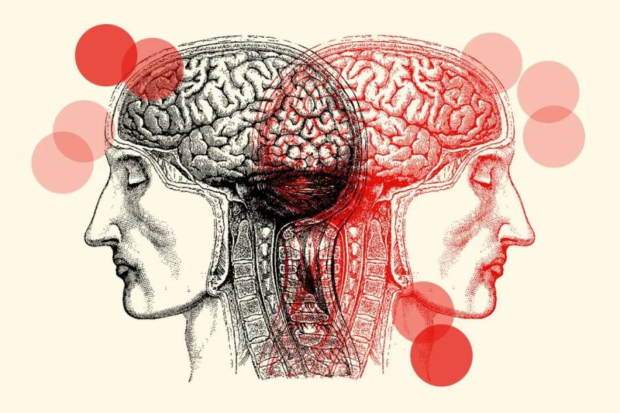 What Is the True Impact of Social Media on Mental Health in New Zealand?