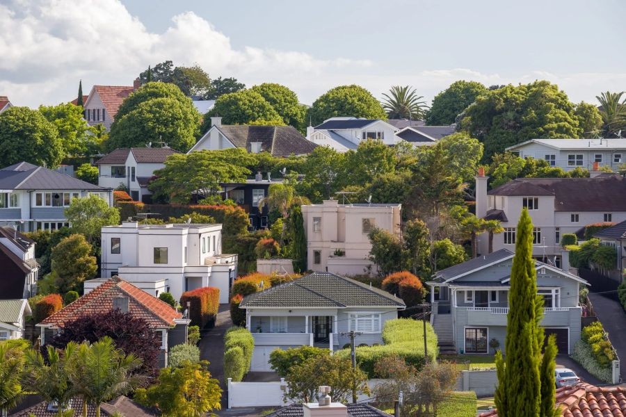 The Real Impact of Government Policies on New Zealand’s Housing Market