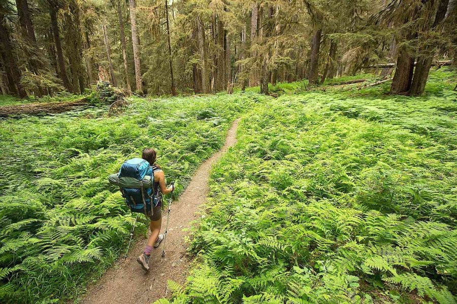 Eco-Tourism in New Zealand – What You Need Before Everyone Else Jumps In