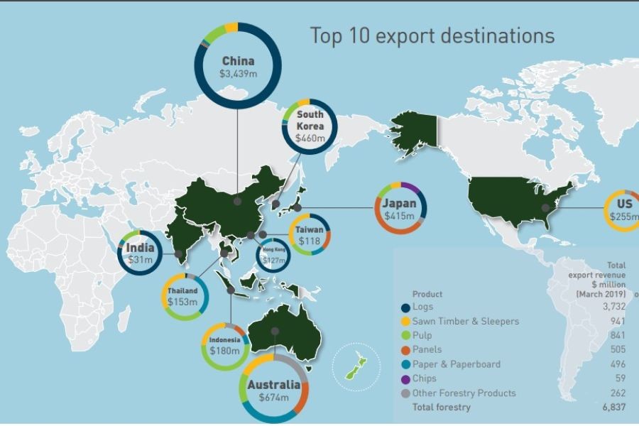 How New Zealand’s Exports Contribute to the National Economy: A Case Study
