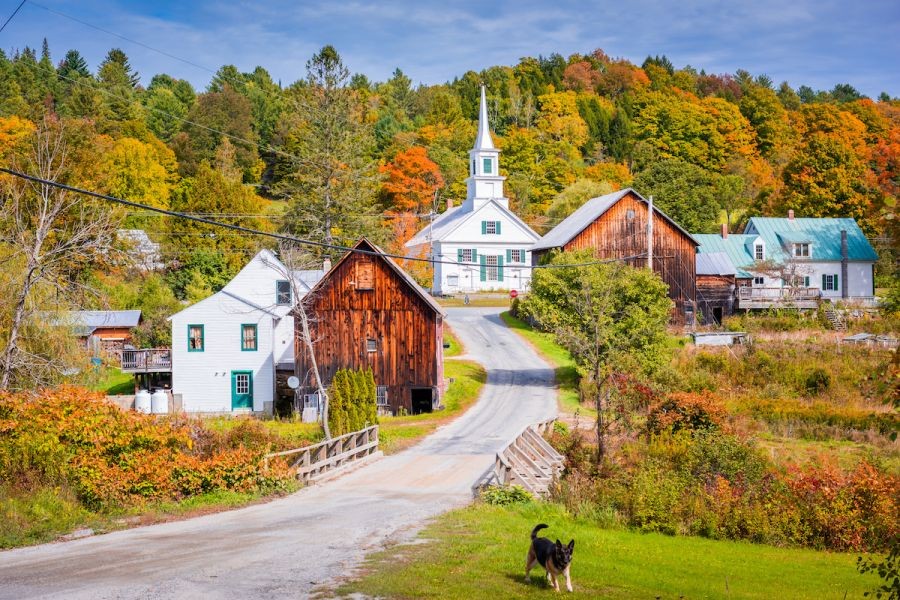 How New Zealand’s Rural Communities Are Affected by Healthcare Access – What Industry Experts Are Saying