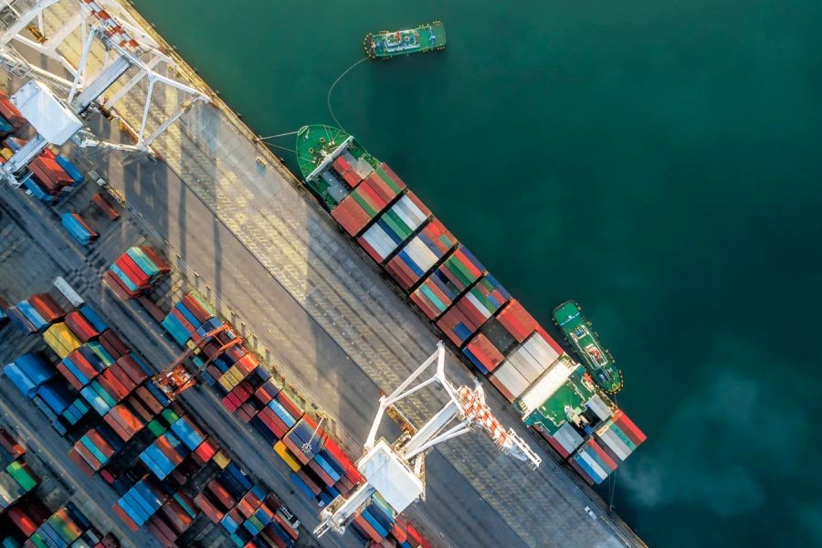 How to Leverage New Zealand’s Position in Global Trade for Your Business