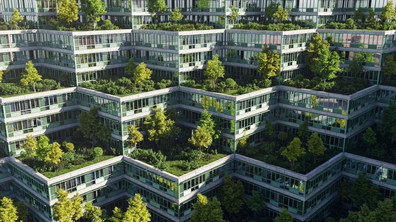 How to Choose the Right Sustainable Property in New Zealand