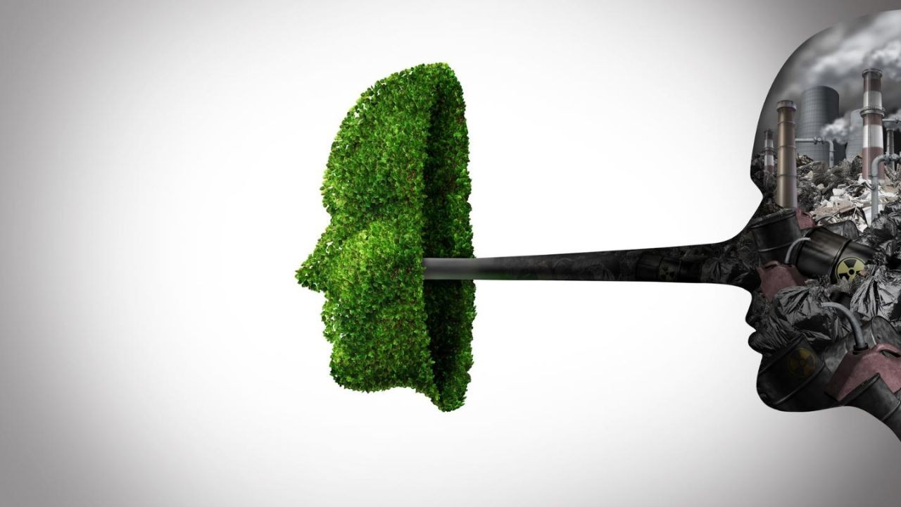 Greenwashing in Paradise? Why NZ’s Climate Reputation Doesn’t Match Reality