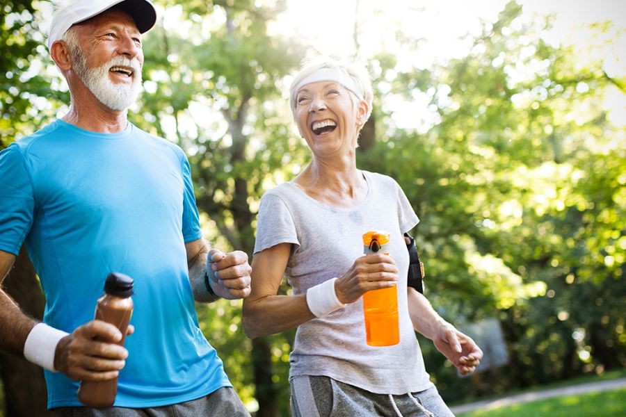 How to Optimize Your Daily Routine for Maximum Longevity – The Key to Long-Term Success in NZ