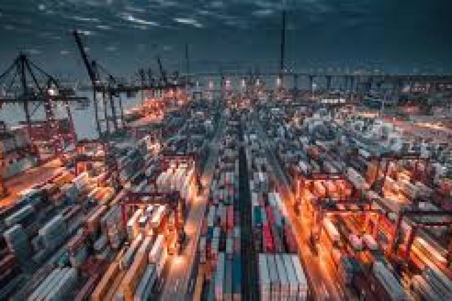 How to Diversify Your Business to Benefit From New Zealand’s Global Trade