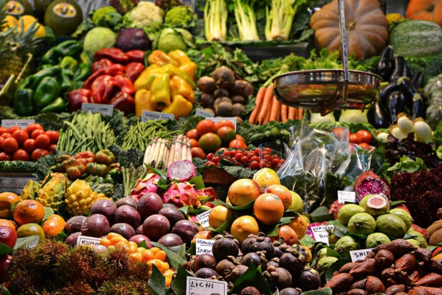 Are New Zealand’s Economic Strategies Too Focused on Exporting Raw Materials? – What Smart Kiwis Are Doing Differently