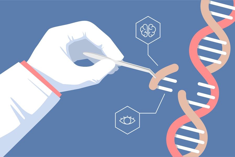 How Genetic Engineering Will Change Australian Healthcare in the Next 20 Years – Why It’s Hot Right Now in Australian Media