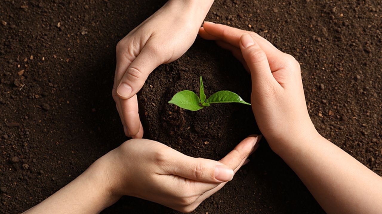 5 Key Environmental Policies That Are Shaping New Zealand’s Future