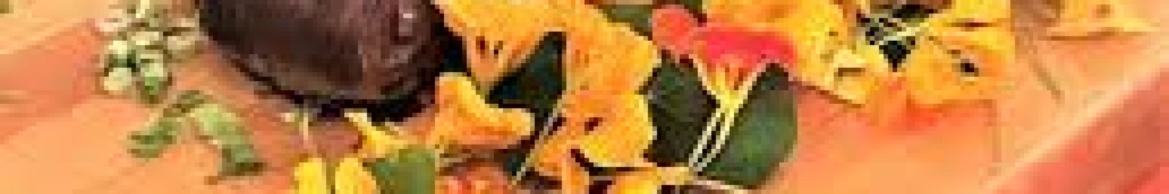 Experience Catering North Conway, Nh