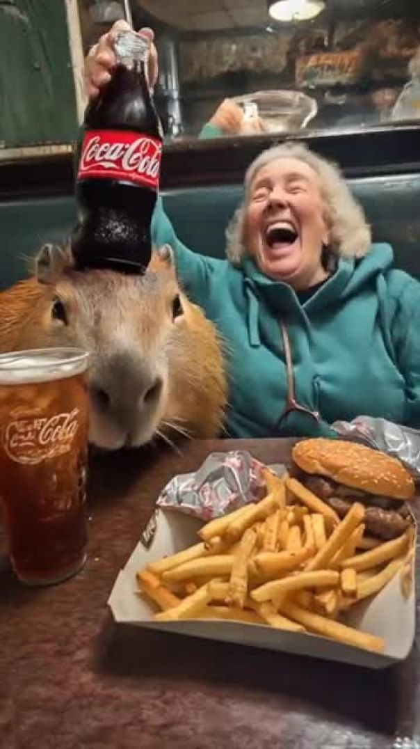 Watch This Capybara Pull Off a Trick! 🐾👏
