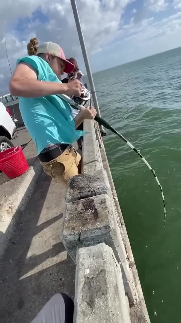 Hooked a MONSTER Grouper Under the Pier! 💪🎣