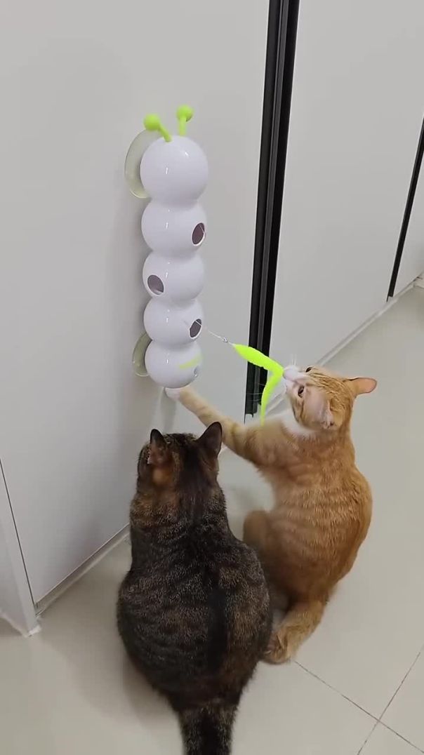 Smart Sensor Cat Toy That’ll Keep Your Kitty Hooked! 🐱🎮