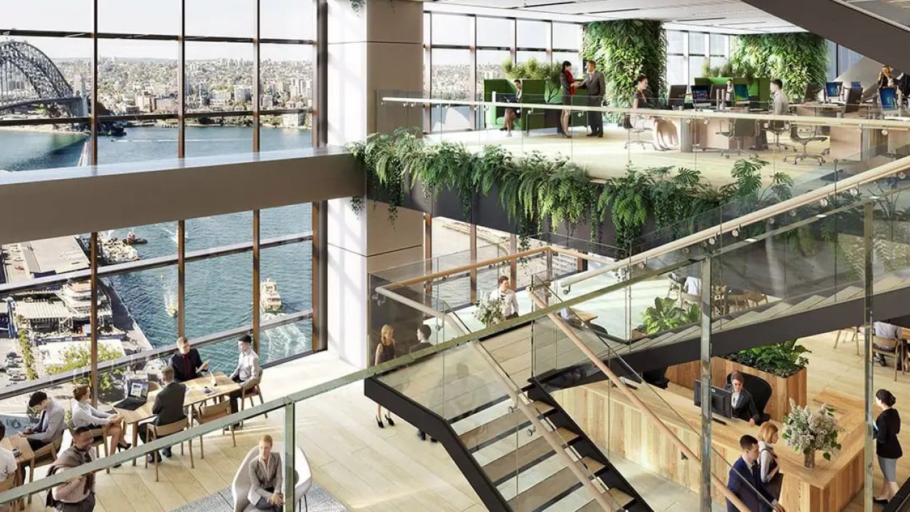 The Hidden Obstacles Slowing New Zealand’s Rise as a Tech Hub