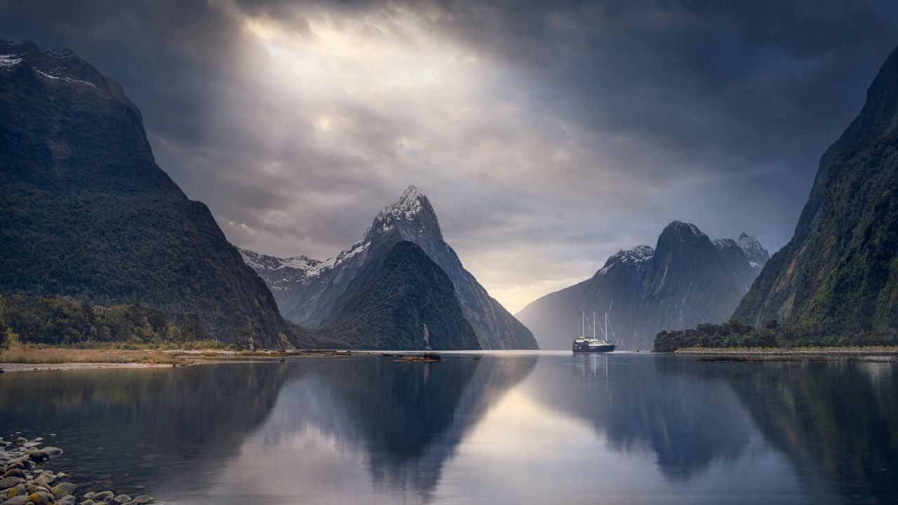 Top 10 Conservation Success Stories in New Zealand