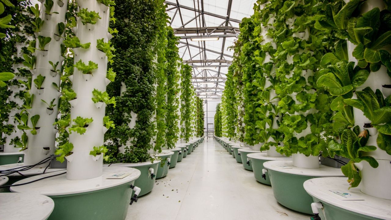 5 Most Sustainable Farms in New Zealand You Need to See