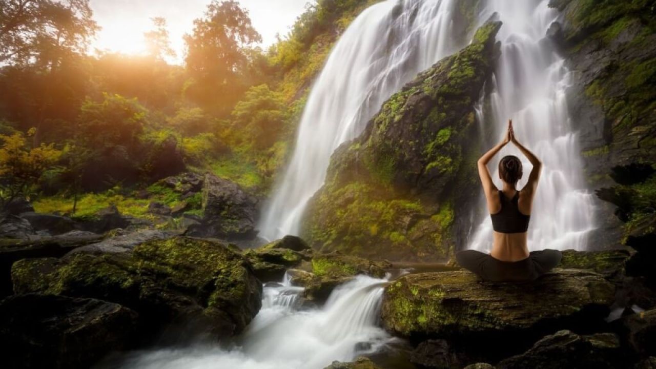 The Hidden Dangers of New Zealand’s Natural Healing Methods