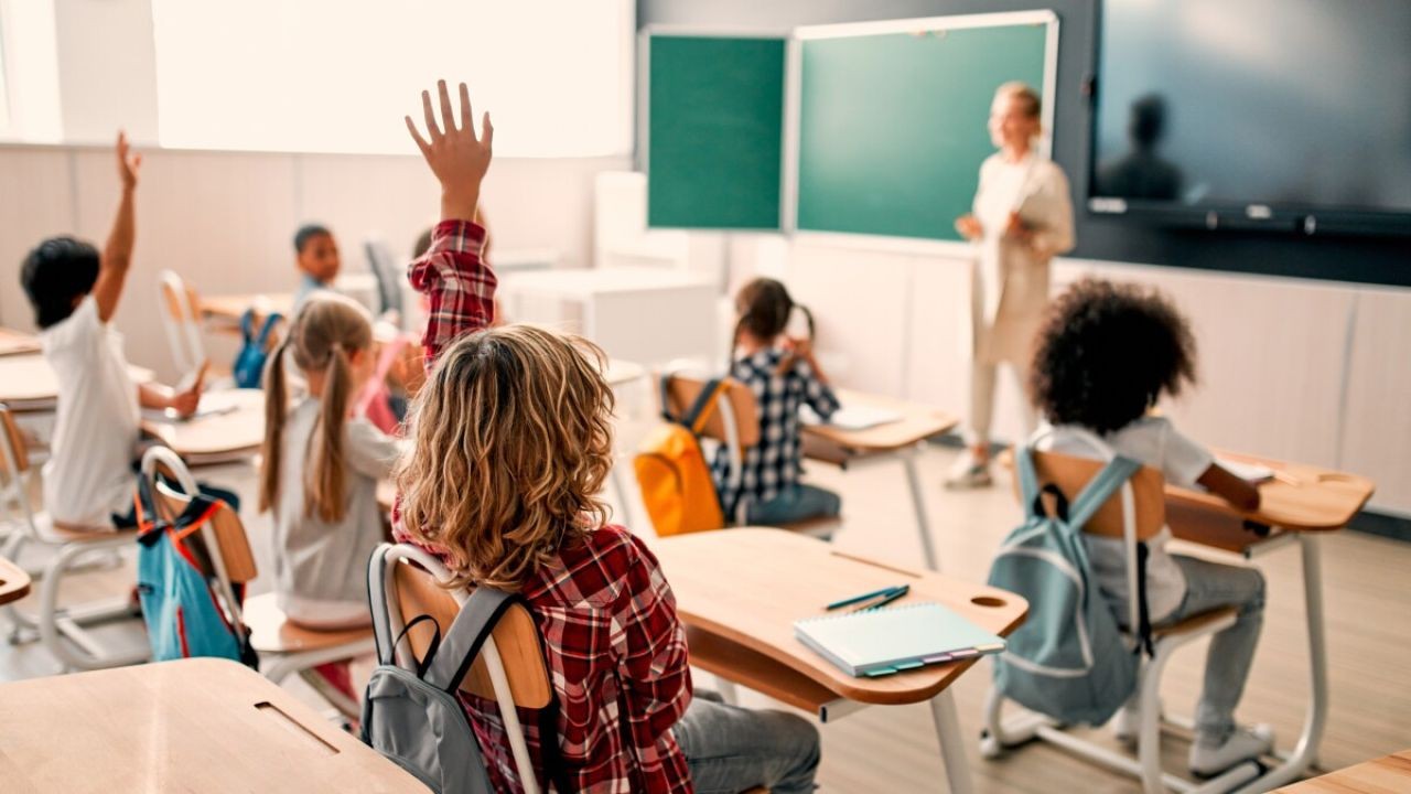 How to Work with New Zealand’s Public Schools to Meet Your Child’s Needs