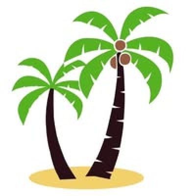 Palms Media