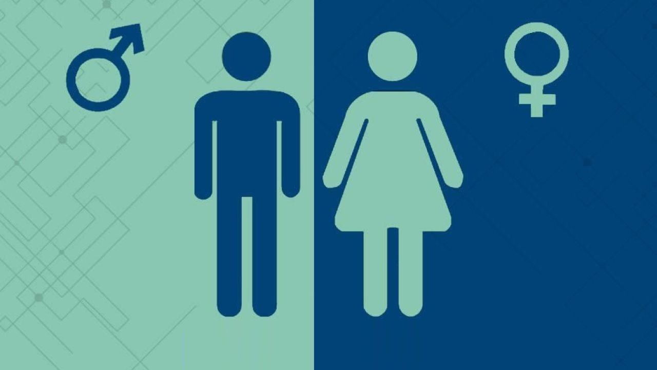 Case Study: How Gender Equality in New Zealand Is Affecting Young Women