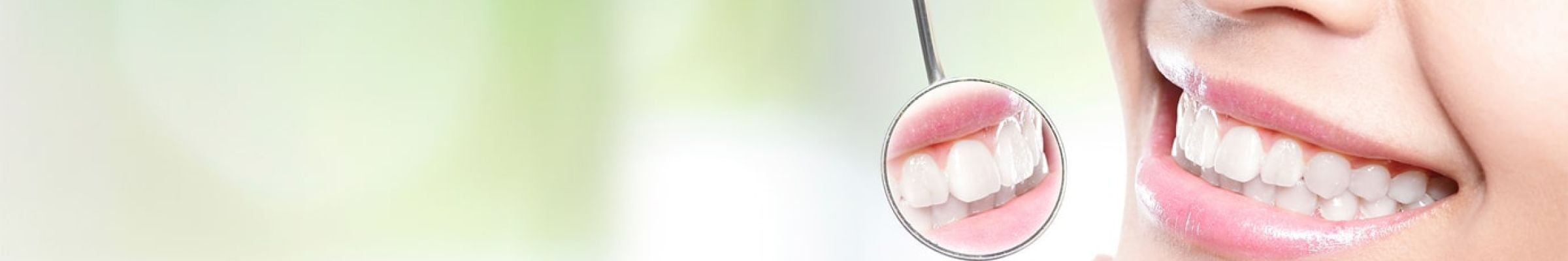 Shenzhen Spring Dental Laboratory