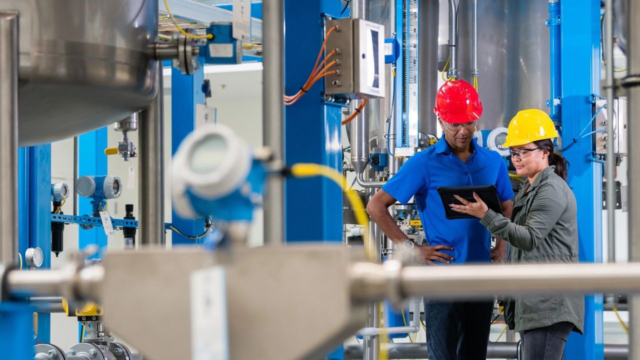 How the Digital Transformation of New Zealand’s Economy Will Affect Employment